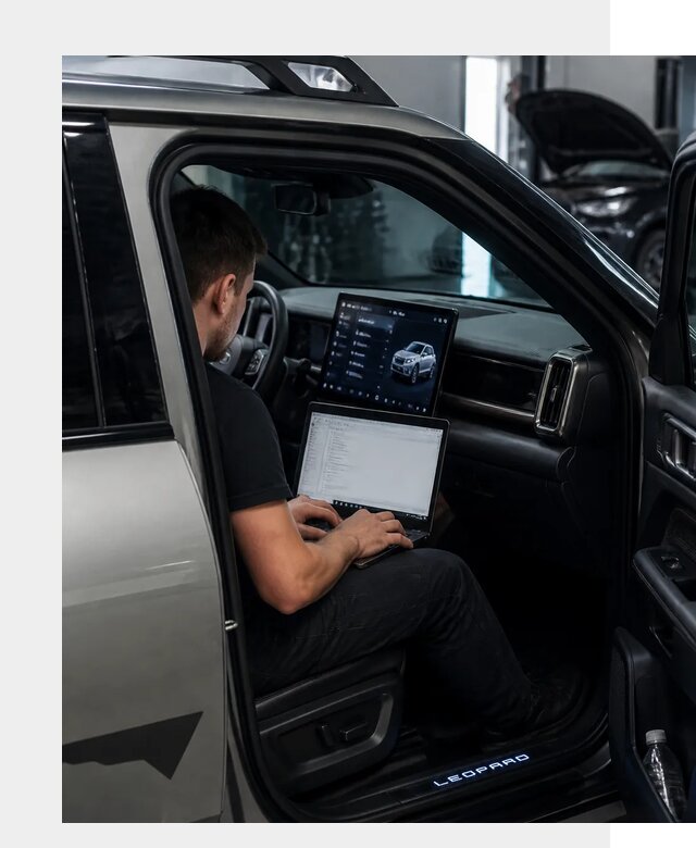 Русификация BYD Leopard 3 в Сатке по цене от 20585 р. | ФастМобиль-Стк